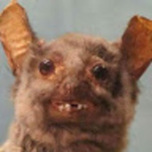 Meet your Posher, Erik